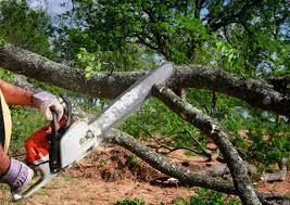 Mulching Services in Muldrow, OK